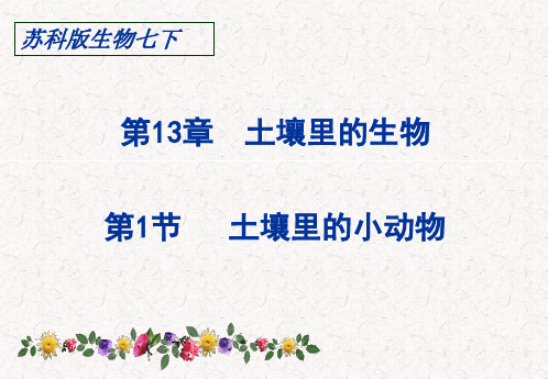 苏科版七年级下第1节《土壤里的小动物》ppt课件1