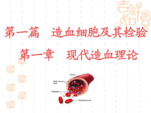 造血细胞及检验