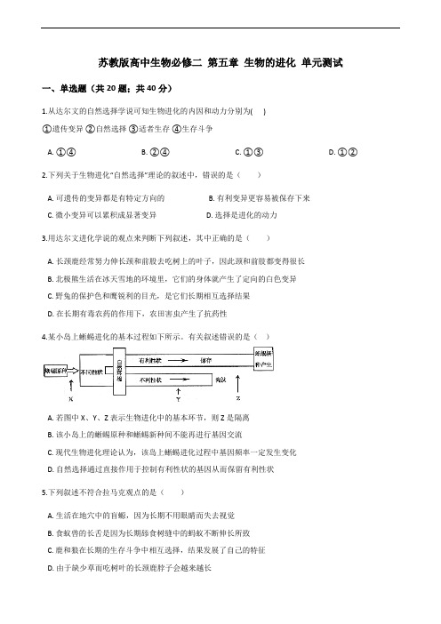 2019届 苏教版 生物的进化 单元测试