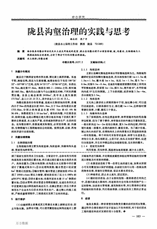 陇县沟壑治理的实践与思考
