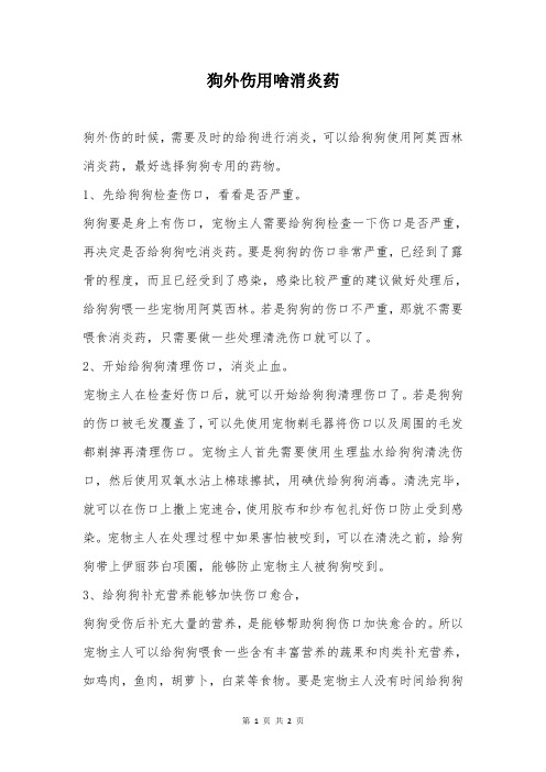 狗外伤用啥消炎药
