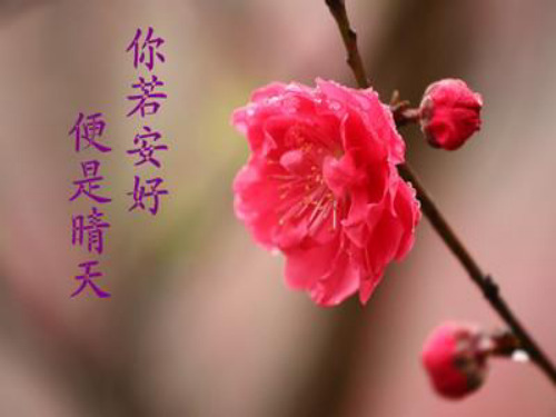 你若安好便是晴天