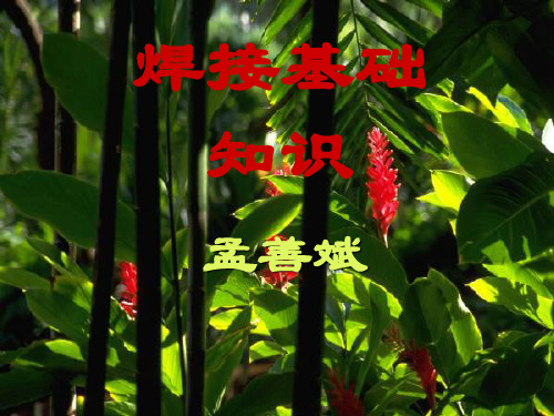 第五节 焊接接头常见缺陷