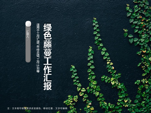 绿色藤蔓简洁大方工作汇报ppt模板