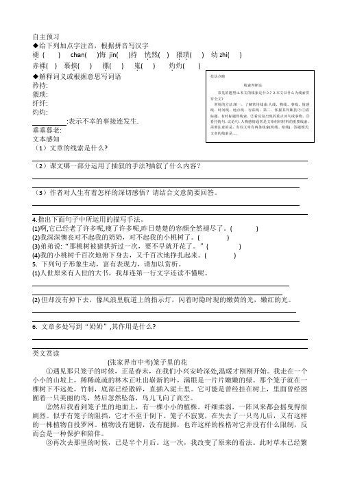 一颗小桃树习题