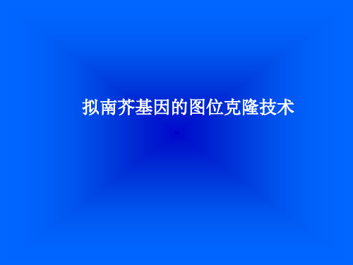 拟南芥基因的图位克隆技术