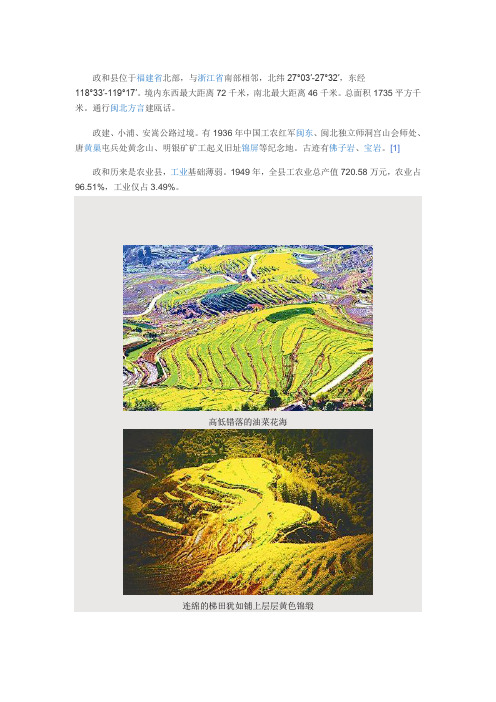 政和念山油菜梯田,醉人的美景