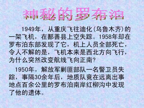 神秘的罗布波