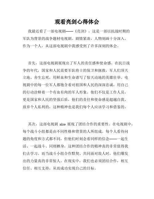 观看亮剑心得体会