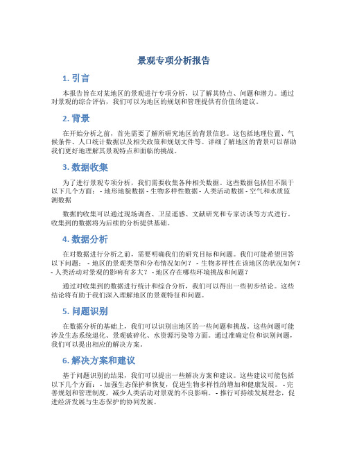 景观专项分析报告