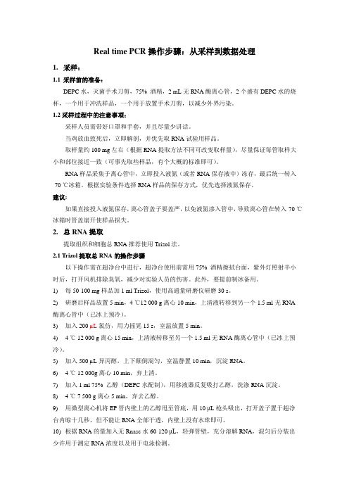 Real time PCR操作步骤：从采样到数据处理