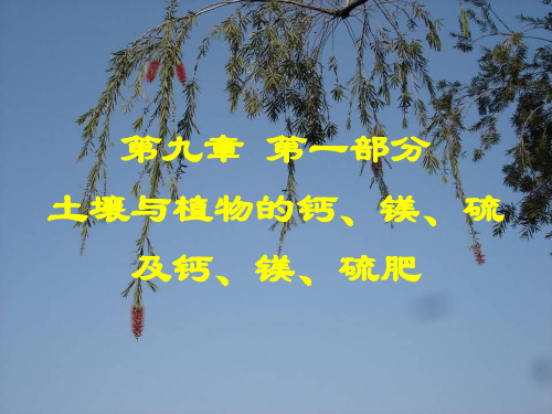 土壤与植物的钙镁硫及钙镁硫肥精品PPT课件