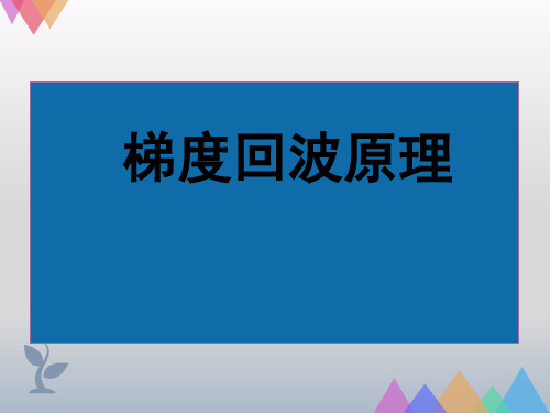 讲座五-梯度回波