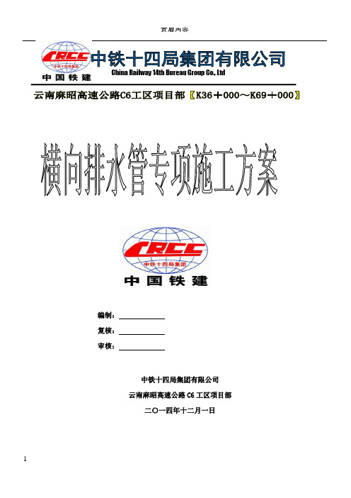 横向排水管专项施工方案