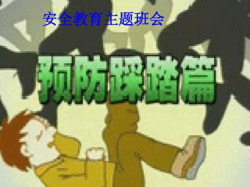 预防踩踏安全教育主题班会(5)