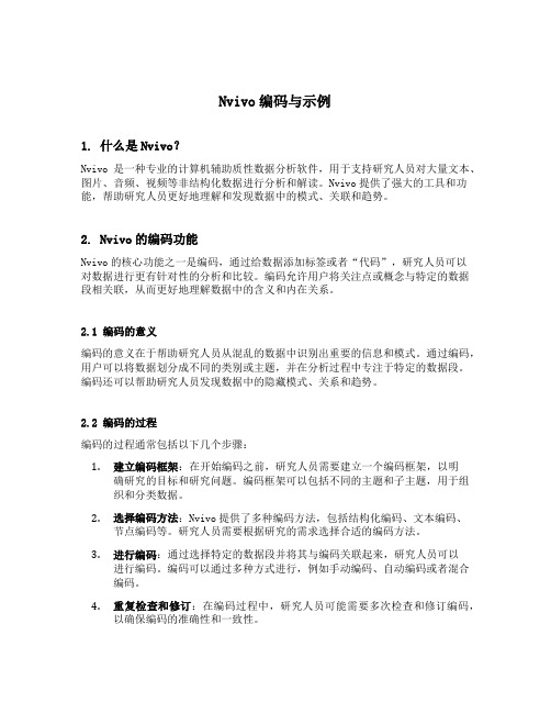 nvivo 编码与示例