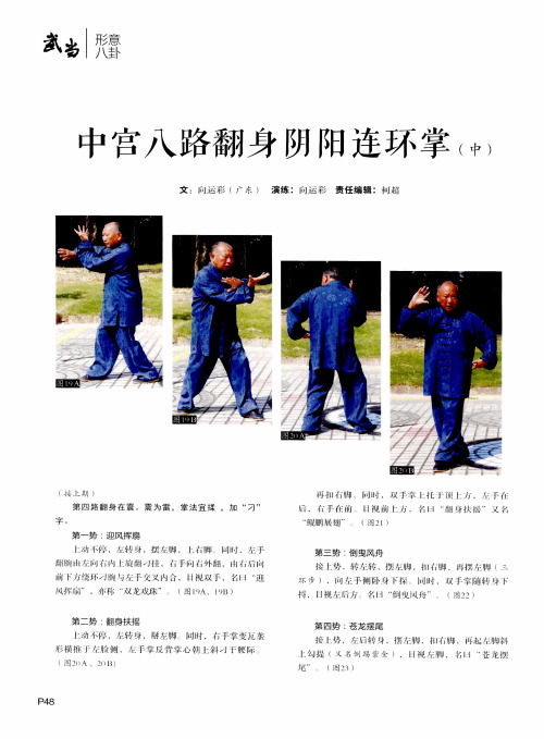 中宫八路翻身阴阳连环掌(中)