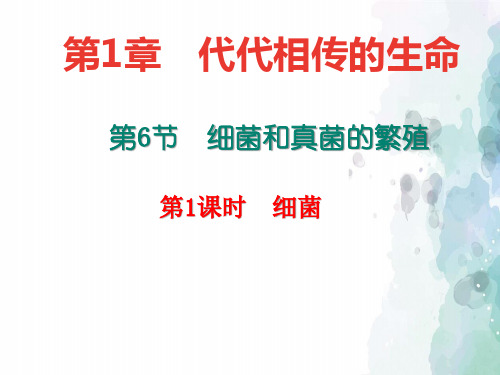 浙教版-科学-七年级下册-课件：1.6.1 细菌(共17张PPT)