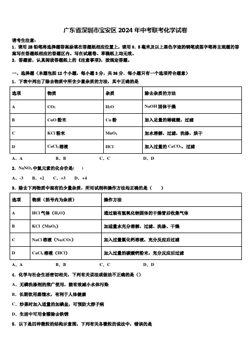 广东省深圳市宝安区2024年中考联考化学试卷含解析