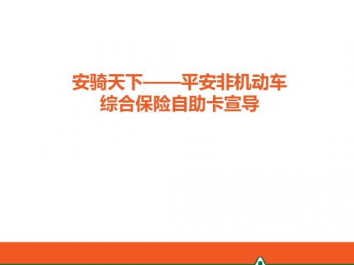 平安非机动车综合保险方案 (1)