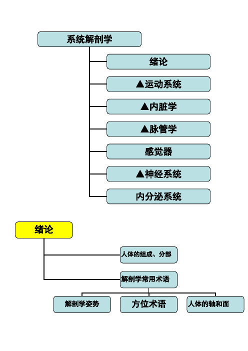 系解提纲