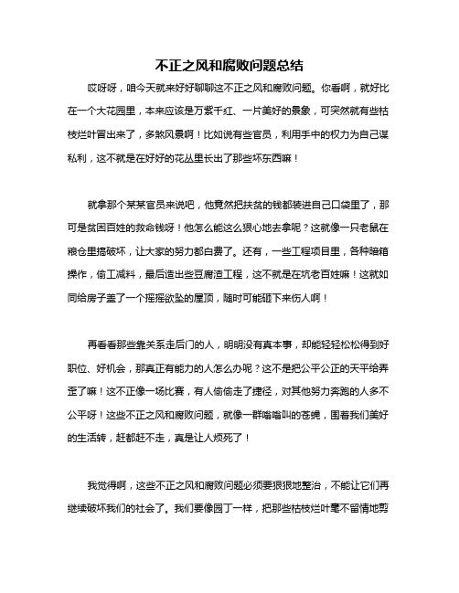 不正之风和腐败问题总结