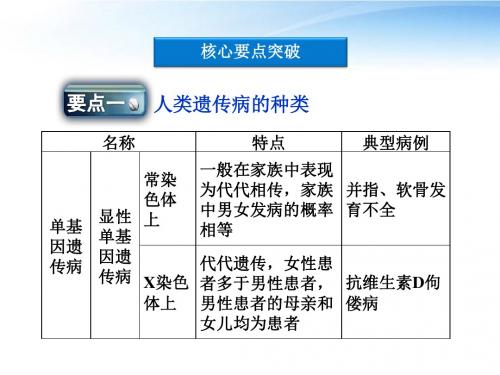 第5章第3节人类遗传病课件 新人教版必修2