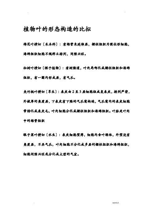 植物叶的形态结构及环境关系