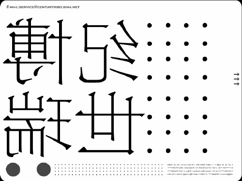 世纪瑞博简介标准版269PPT