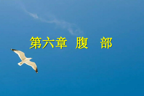 诊断学笔记——第六章 腹部ppt课件