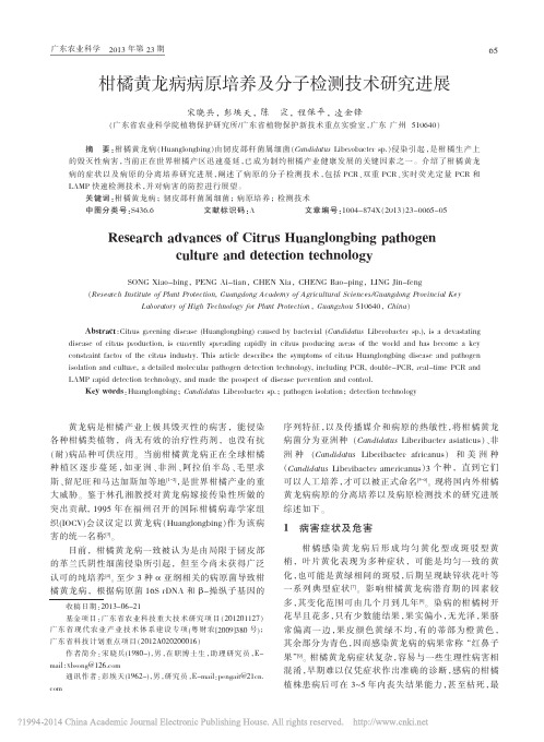 柑橘黄龙病病原培养及分子检测技术研究进展