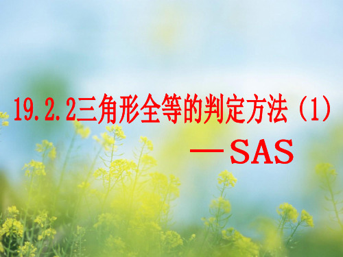 三角形全等的判定方法PPT教学课件