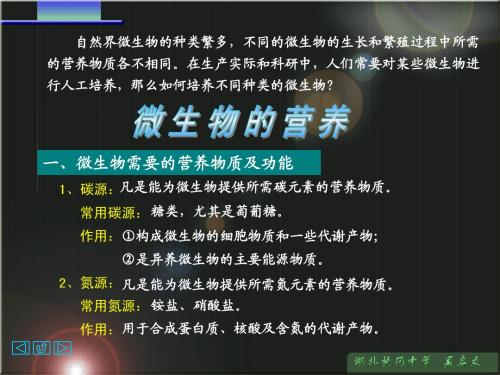 微生物的营养