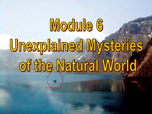 外研 高中英语必修4Module6Listening and Vocabulary(共30张PPT)