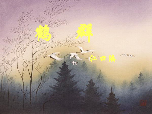 语文版七下《鹤群》ppt课件资料