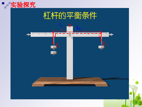 浙教版九年级科学上册3.4简单机械-杠杆第二课时