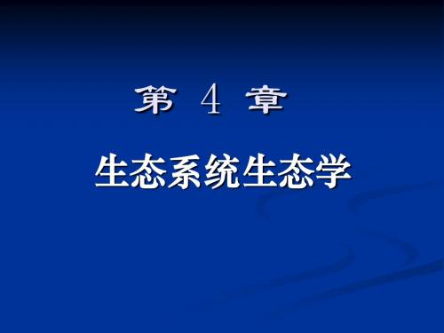 生态系统生态学