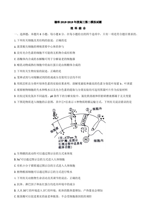 陕西省榆林市2019届高三第二次模拟试题理科综合生物试题