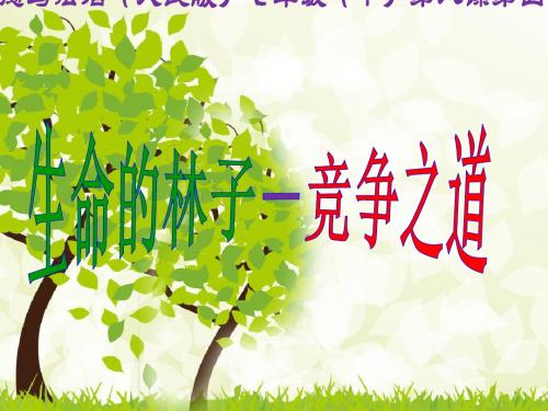 最新人民版道德与法治七年级下册8.4《竞争之道》公开课课件