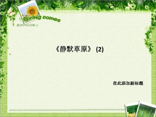 《静默草原》 (2)