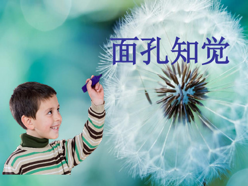 生理心理学面孔