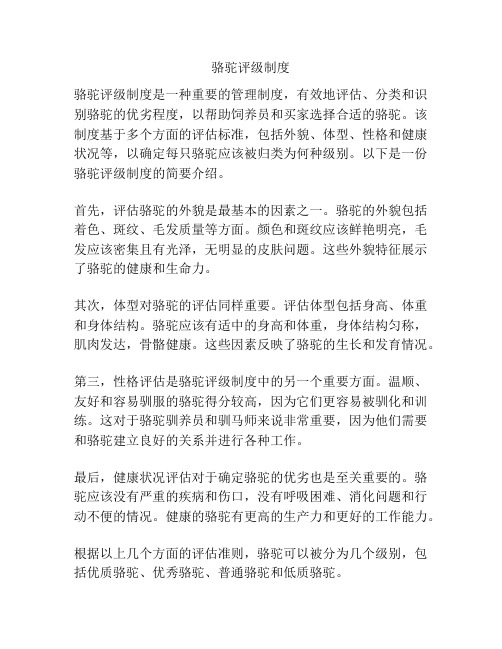 骆驼评级制度