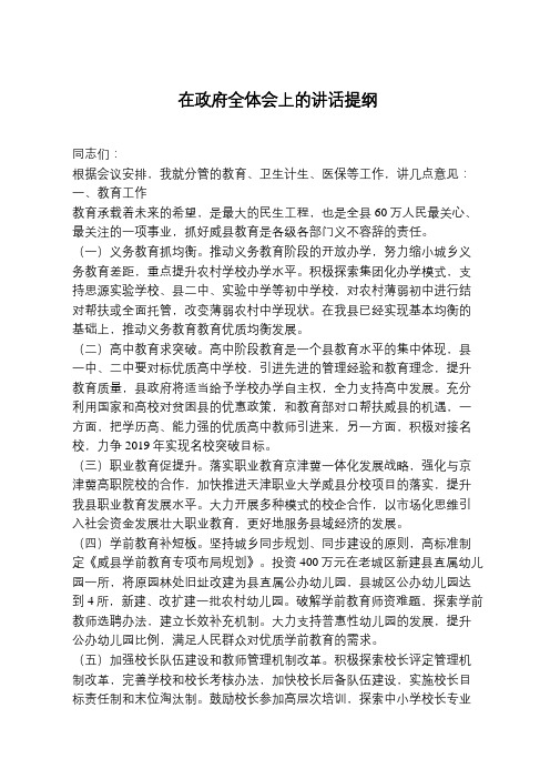 在政府全体会上的讲话提纲