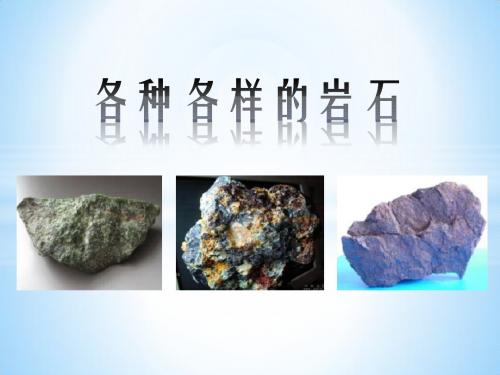 《各种各样的岩石》岩石和矿物PPT课件4 (共14张PPT)