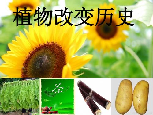 植物改变历史