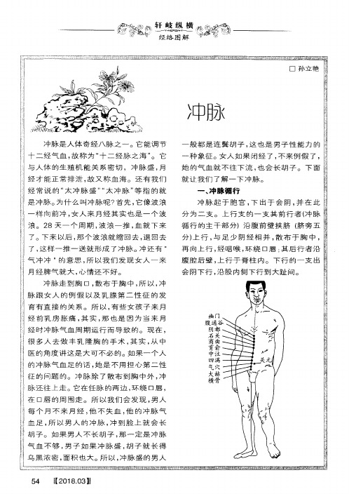 冲脉