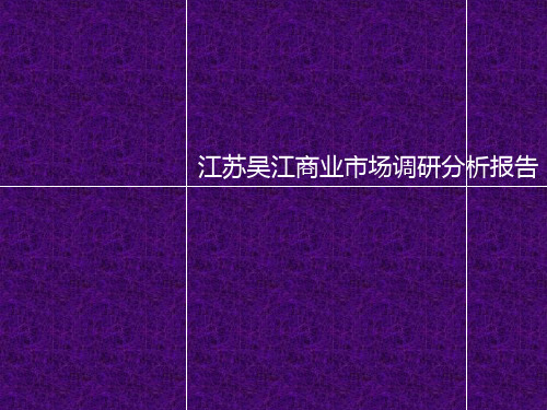 江苏吴江商业市场调研分析报告