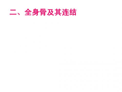 运动系统-全身骨及其连结