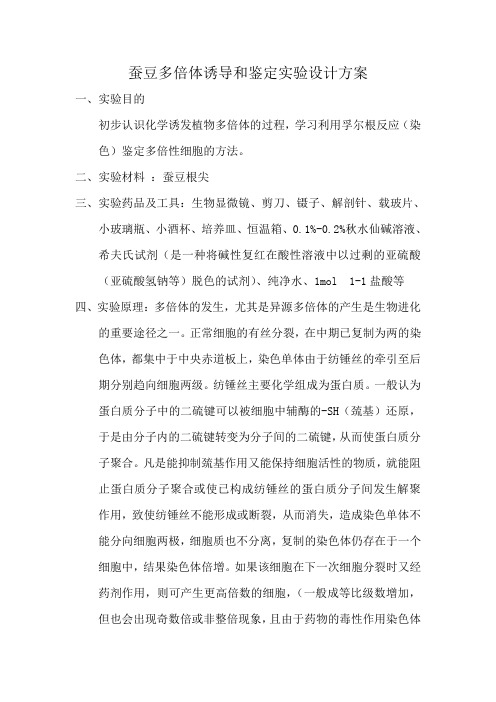 蚕豆多倍体诱导和鉴定实验设计方案