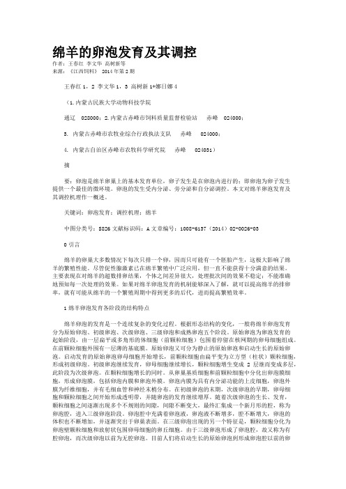 绵羊的卵泡发育及其调控